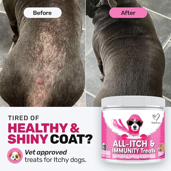 A square-format static ad showing a side-by-side skin condition comparison for dogs, featuring a branded product jar.